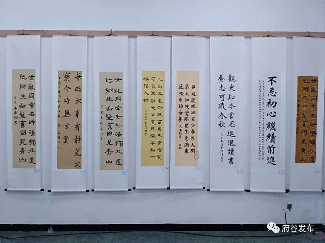 如何看待向往的生活使用道具鱼？你认为这是网友过度关注了吗？游戏画面